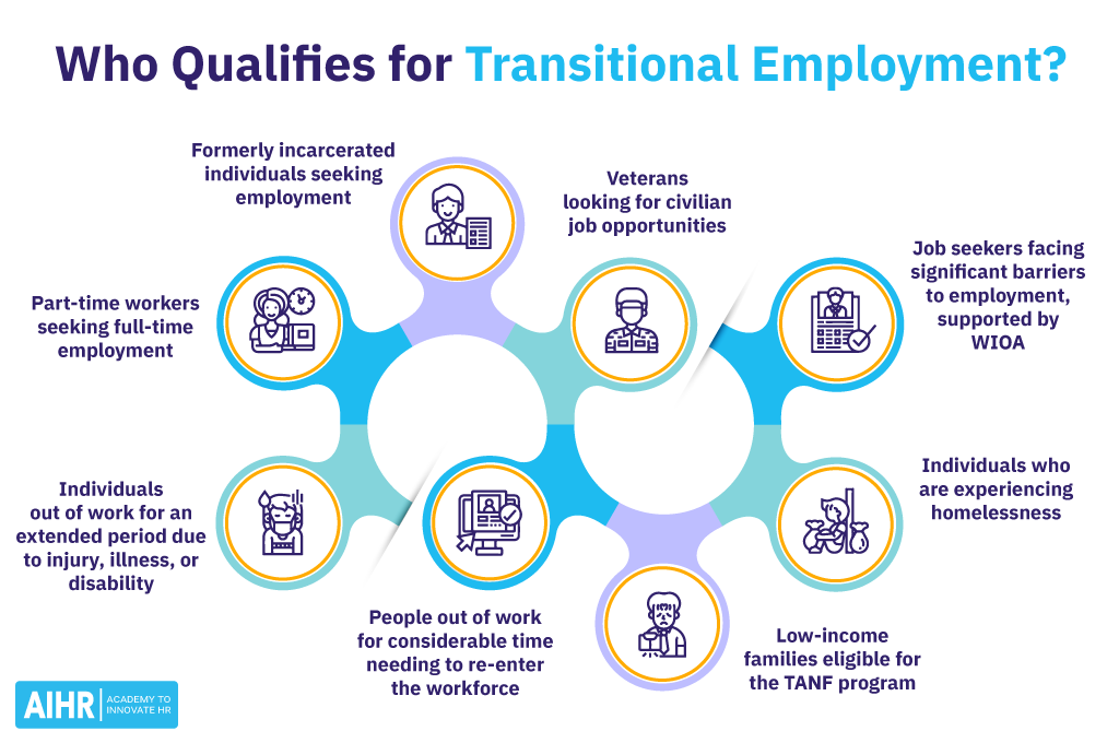 An overview of the groups elegible for transitional employment.